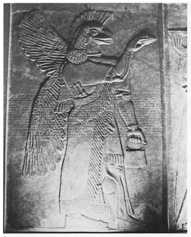 A bird-apkallū, the so-called Nisroch or "Griffin-demon). Plate IXa. 