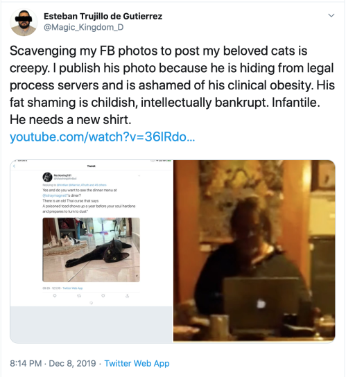 TS Tweets My Cats Curses Me Clinical Obesity 2019-12-28